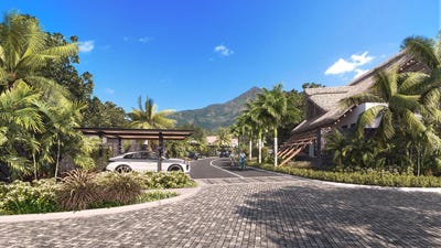 /international/mu/piton-de-la-petite-riviere-noire-petite-riviere-noire-plaines-wilhems-district-310106796204/