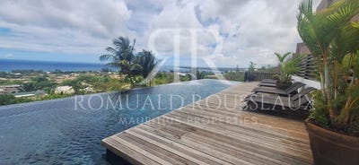 /international/mu/riviere-noire-black-river-310108990009/