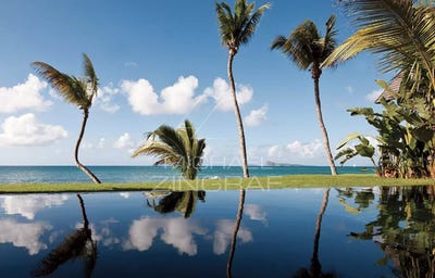 /international/mu/grand-baie-riviere-du-rempart-310108053173/