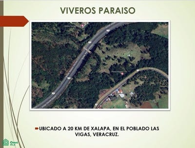 /international/mx/carretera-jalapa-puebla-0-las-vigas-de-ramirez-las-vigas-de-ramirez-veracruz-91335-veracruz-310107425587/