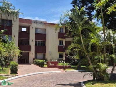 /international/mx/nino-obrero-265-jardines-de-san-ignacio-zapopan-jalisco-zapopan-jalisco-310108486506/