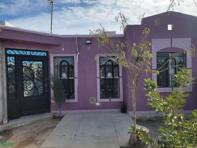/international/mx/desierto-de-chihuahua-1419-parajes-de-oriente-juarez-chihuahua-juarez-chihuahua-310105830323/