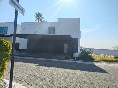/international/mx/lirios-queretaro-queretaro-310107912674/