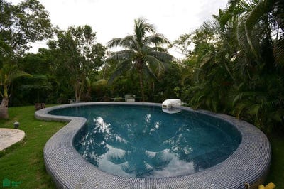/international/mx/fraccionamiento-akumal-condominio-yalku-102-102-akumal-tulum-quintana-roo-77776-tulum-quintana-roo-310103767181/