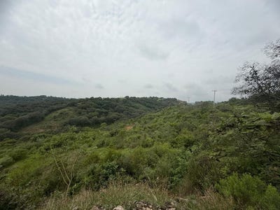 /international/mx/manzana-54-jilotzingo-mexico-city-310107913115/