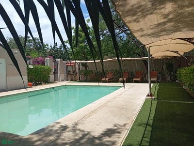 /international/mx/paseo-del-real-paseo-del-real-los-olivos-solidaridad-quintana-roo-playa-del-carmen-quintana-roo-310108366595/