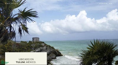 /international/mx/aldea-zama-s-n-aldea-zama-tulum-quintana-roo-77760-tulum-quintana-roo-310101044880/?lang=zh-cn