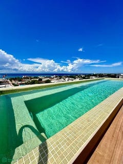 /international/mx/15-avenida-con-1ra-1-cozumel-centro-cozumel-quintana-roo-77600-cozumel-quintana-roo-310102313753/