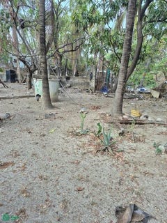 /international/mx/aldama-lote-9-pitillal-centro-puerto-vallarta-jalisco-puerto-vallarta-jalisco-310108673165/?lang=zh-cn