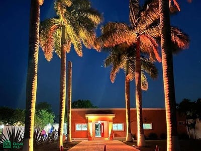 /international/mx/33-9-chichi-suarez-merida-yucatan-merida-yucatan-310108868647/?lang=zh-cn