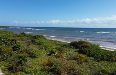 /international/mx/g7f2-pg-othon-p-blanco-quintana-roo-310107523566/