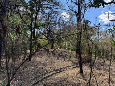 /international/mx/tlahuica-s-n-zacualpan-de-amilpas-zacualpan-de-amilpas-morelos-morelos-310101103923/?lang=zh-tw