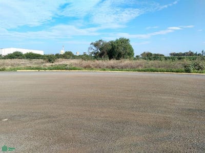 /international/mx/parque-industrial-las-vias-lote-numero-14-bustamante-silao-de-la-victoria-guanajuato-silao-de-la-victoria-guanajuato-310109204144/