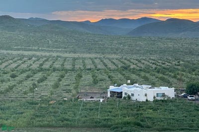 /international/mx/carretera-chihuahua-meoqui-km-169-169-carretera-a-rosetilla-kilometro-3-delicias-chihuahua-delicias-chihuahua-310101408770/