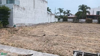 /international/mx/paseo-maria-antonieta-fracc-tres-reyes-s-n-cajititlan-tlajomulco-de-ziga-jalisco-tlajomulco-de-zuniga-jalisco-310108366607/