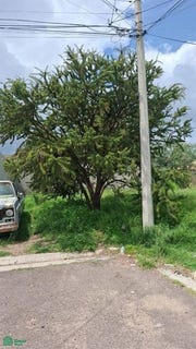 /international/mx/la-palma-lote-8-las-palmas-jesus-maria-aguascalientes-jesus-maria-aguascalientes-310100936074/?lang=zh-tw