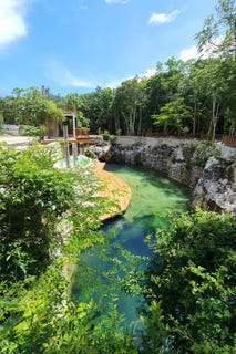 /international/mx/chunyaxche-chunyaxche-quintana-roo-310101043544/?lang=zh-cn