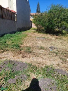 /international/mx/caminio-a-alcocer-1-alcocer-san-miguel-de-allende-guanajuato-san-miguel-de-allende-guanajuato-310108458496/