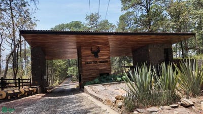 /international/mx/camino-real-1-mazamitla-mazamitla-jalisco-mazamitla-jalisco-310107495990/