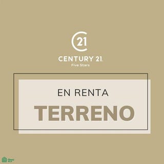 /international/mx/alhambra-303-portales-norte-benito-juarez-ciudad-de-mexico-ciudad-de-mexico-mexico-city-310107790569/