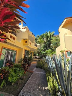 /international/mx/ciebas-compostela-nayarit-310106779892/