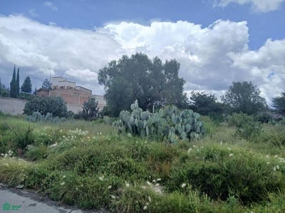 /international/mx/av-gustavo-baz-prada-lote-3-manzana-5-nueva-teotihuacan-teotihuacan-mexico-teotihuacan-mexico-city-310107946640/
