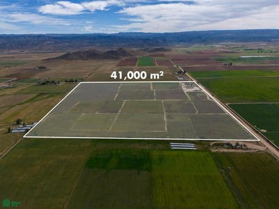 /international/mx/parcela-24-real-del-castillo-nuevo-ojos-negros-ensenada-baja-california-ensenada-baja-california-310107065280/