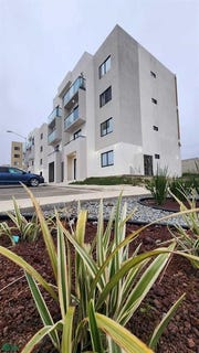 /international/mx/datil-playas-de-rosarito-baja-california-310108673527/