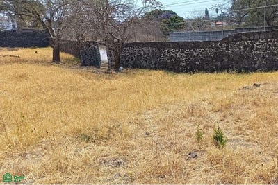 /international/mx/calle-estacion-vieja-0-fraccionamiento-la-josefina-oaxtepec-morelos-62738-morelos-310108365593/