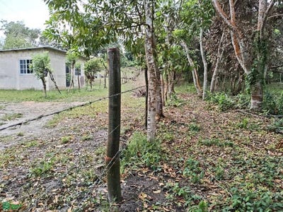 /international/mx/el-novillero-sn-hato-nuevo-cosoleacaque-veracruz-de-ignacio-de-la-llave-cosoleacaque-veracruz-310108971244/