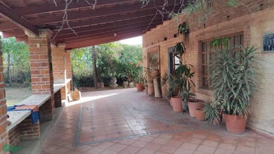 /international/mx/paseo-de-las-jacarandas-18-huertas-productivas-de-jalisco-tlajomulco-de-ziga-jalisco-tlajomulco-de-zuniga-coahuila-310102128583/