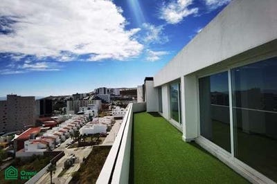 /international/mx/avenida-palmira-0-fraccionamiento-pedregal-san-luis-potosi-san-luis-potosi-san-luis-potosi-san-luis-potosi-310108311566/