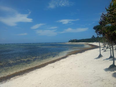 /international/mx/carretera-tulum-cancun-tulum-municipality-quintana-roo-310099947231/?lang=zh-cn