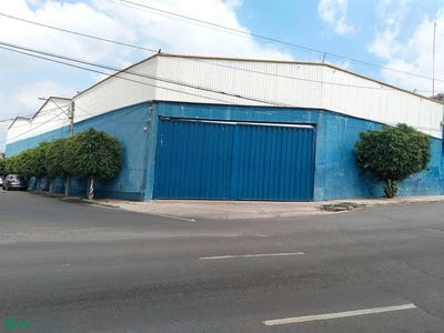/international/mx/guayaba-102-las-mandarinas-leon-guanajuato-leon-de-los-aldama-guanajuato-310108926050/