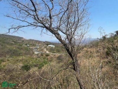 /international/mx/s-n-fraccion-ii-s-n-matlalapa-tixtla-de-guerrero-guerrero-tixtla-de-guerrero-guerrero-310108309029/