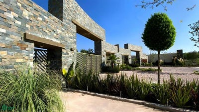 /international/mx/palma-dtilera-sn-palmares-queretaro-queretaro-queretaro-queretaro-310107564648/
