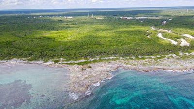 /international/mx/municipio-de-solidaridad-quintana-roo-310096150421/