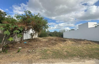 /international/mx/8-calle-42-merida-yucatan-310106517726/