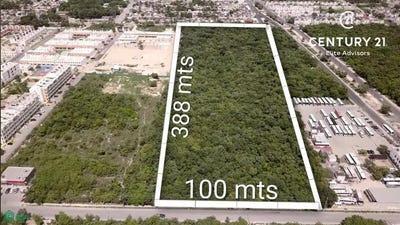 /international/mx/avenida-chacmol-sm-253-entre-avenida-galaxia-del-sol-y-avenida-chetumal-1-supermanzana-253-benito-juarez-quintana-roo-cancun-quintana-roo-310106807282/