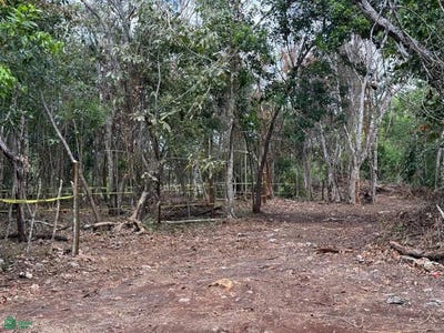 /international/mx/avenida-33-entre-calles-38-y-40-manzana-58-lote-9-bacalar-othon-p-blanco-quintana-roo-77930-othon-p-blanco-quintana-roo-310106806680/
