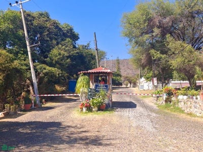 /international/mx/brisas-poniente-14-brisas-de-chapala-chapala-jalisco-chapala-jalisco-310101059043/?lang=zh-cn