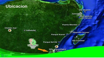 /international/mx/muyil-s-n-chumpon-felipe-carrillo-puerto-quintana-roo-felipe-carrillo-puerto-quintana-roo-310103818866/