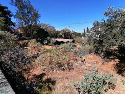 /international/mx/tulum-56-heroes-de-padierna-tlalpan-ciudad-de-mexico-ciudad-de-mexico-mexico-city-310107947244/