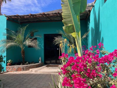 /international/mx/9-mutualismo-pacific-mexico-city-310107270222/