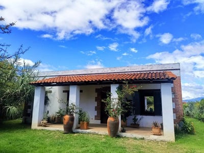 /international/mx/el-barrio-oaxaca-310109171133/