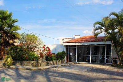 /international/mx/paloma-chapala-jalisco-310108404173/