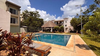/international/mx/2-serengeti-playa-del-carmen-quintana-roo-310108590071/