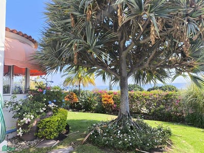 /international/mx/villa-martin-ajijic-jalisco-310107646119/