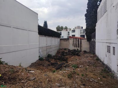 /international/mx/cerro-del-vigilante-161-fraccionamiento-romero-de-terreros-venustiano-carranza-ciudad-de-mexico-venustiano-carranza-michoacan-310108365413/