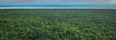 /international/mx/av-ctm-11-xcaret-solidaridad-riviera-maya-quintana-roo-77718-quintana-roo-310108310860/